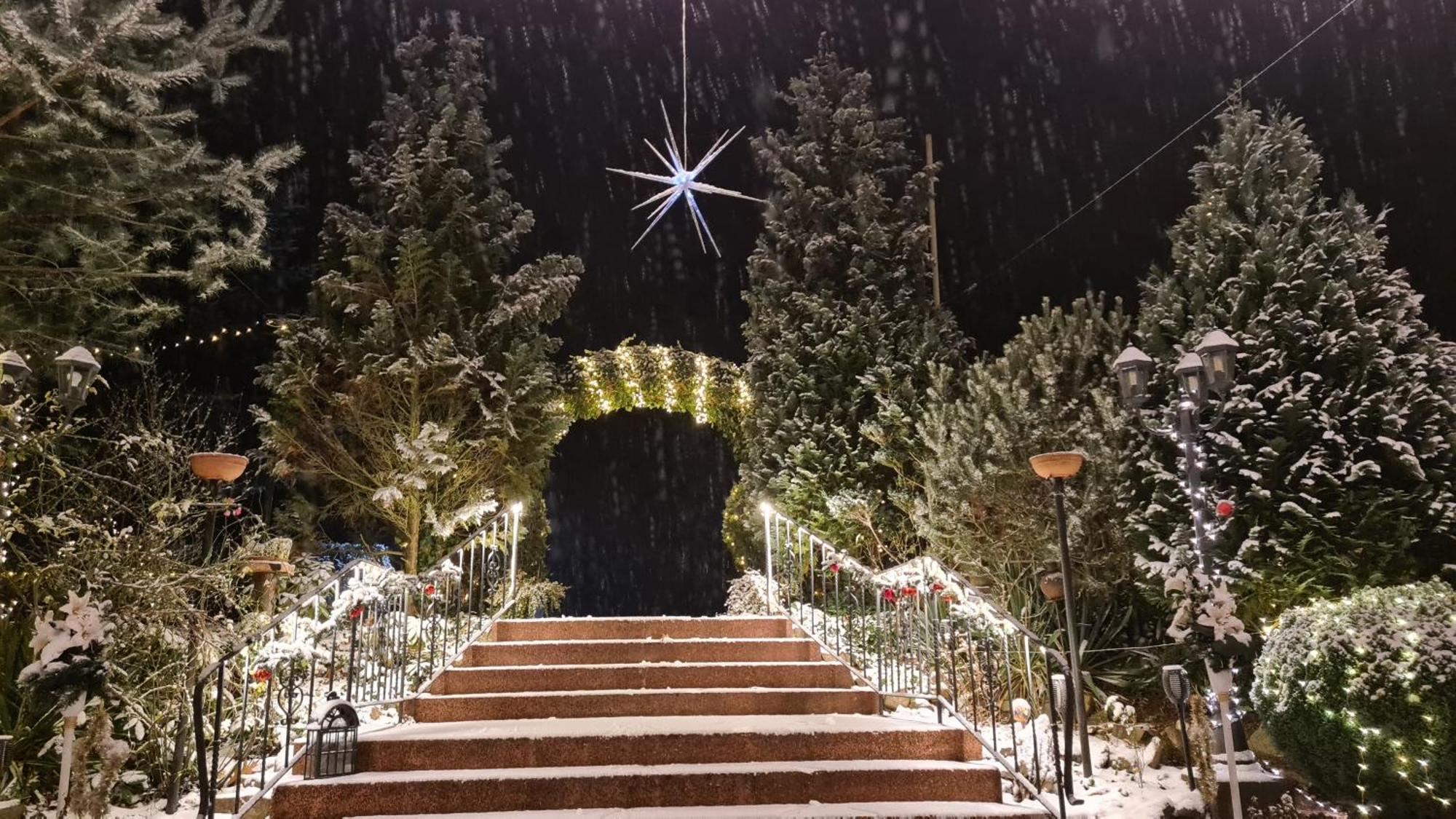 Hotel Am Wald B&B Michendorf Exteriör bild